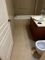 Blk 245 Bishan Street 22 (Bishan), HDB Executive #596827441